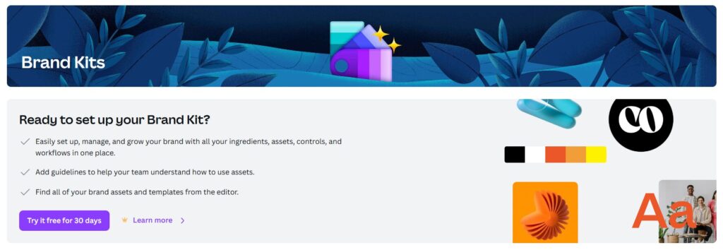 canva brand kit